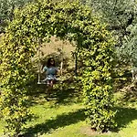 La Sosta In Toscana Bed & Breakfast Camaiore